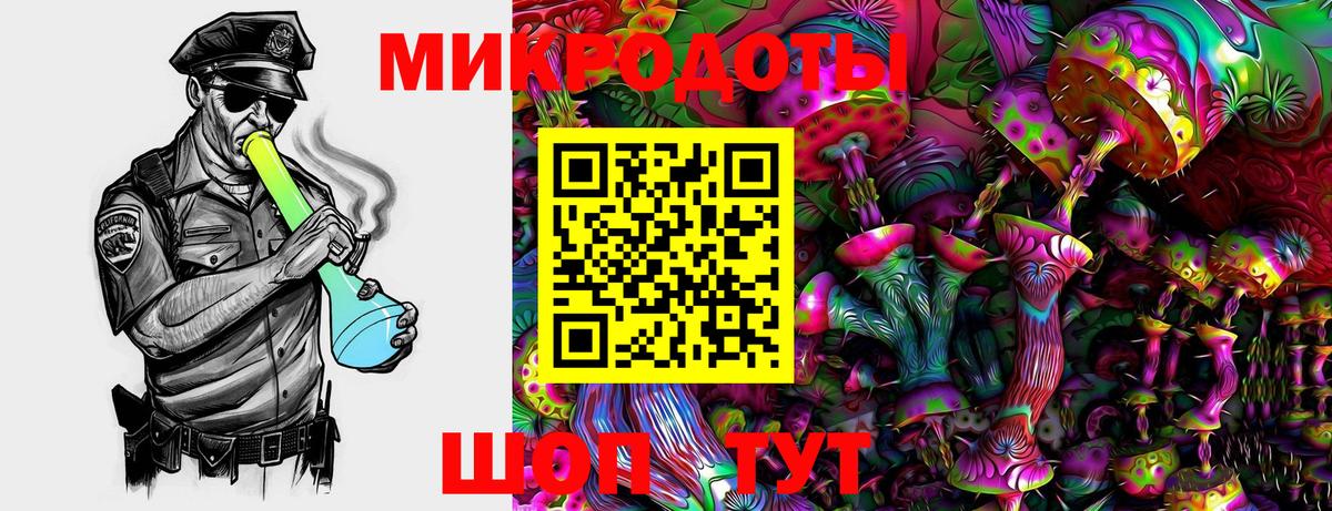 Галлюциногенные грибы Cubensis  Галлюциногенные грибы мицелий  Вход с VPN  Гусиноозёрск 